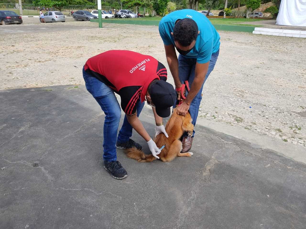 Camacã: Prefeitura realiza campanha de Vacinação antirrábica